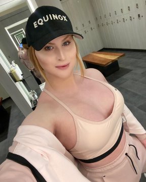 Renardamical de Waals-Brabant, Belgique